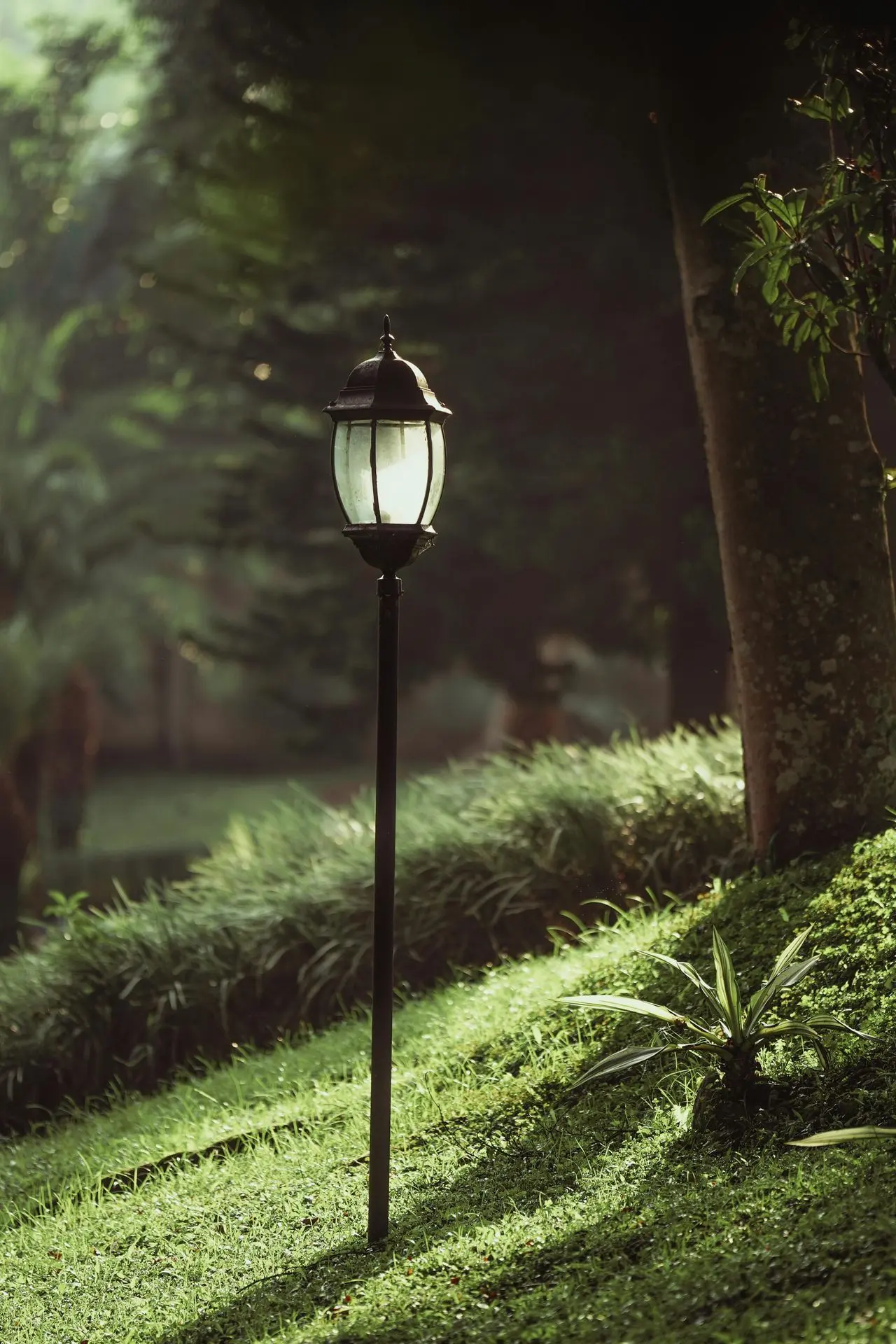 Wege, Beleuchtung und Zaun vorbereiten für die Übergabe